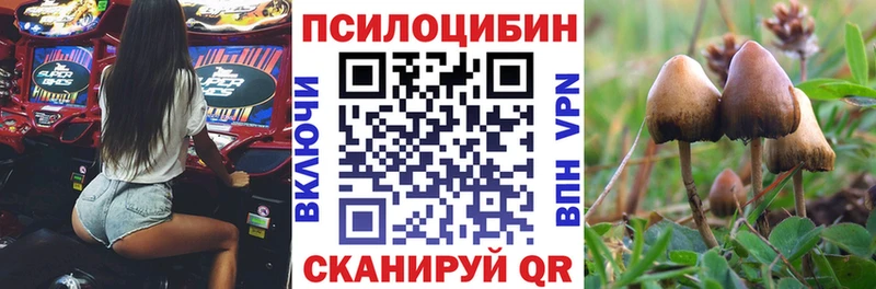 Галлюциногенные грибы Psilocybine cubensis Острогожск